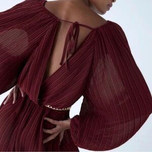 Zara Deep Burgundy Balloon Jumpsuit